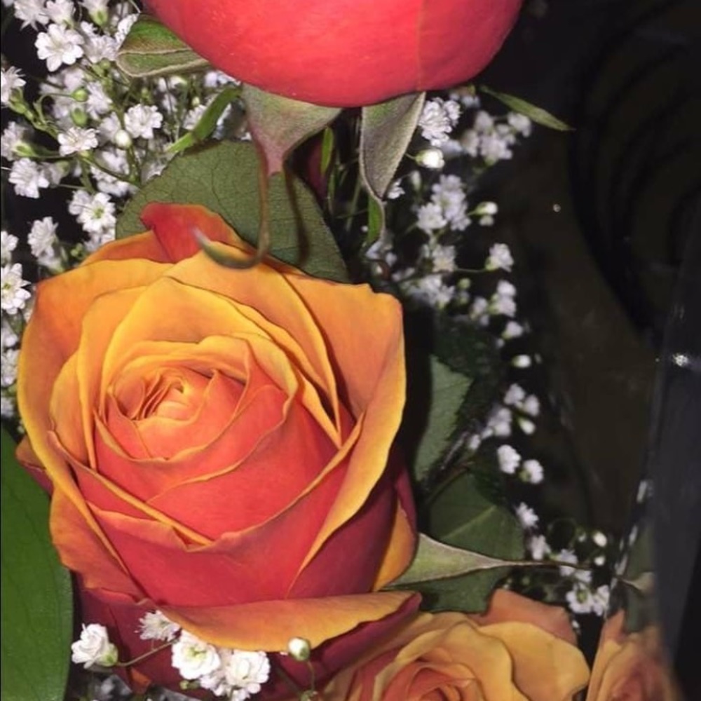 Meet your Posher, Bri